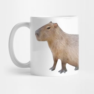 Seated Capybara Mug